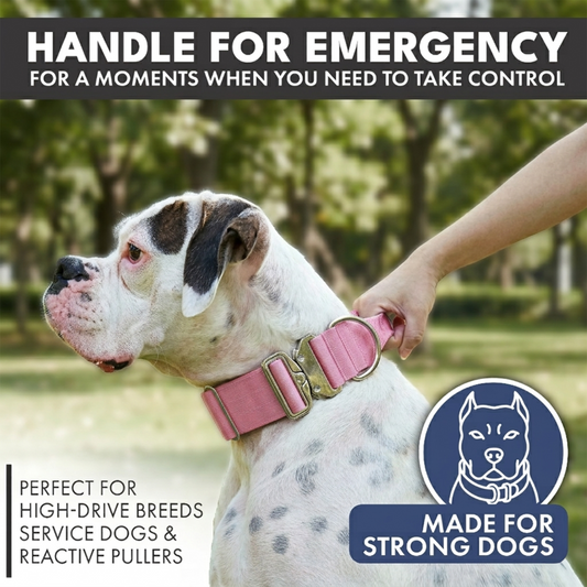 Pink Collar