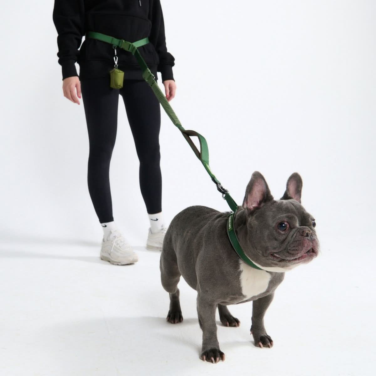 Multipurpose Seatbelt Handsfree Leash & Poop Bag Holder Set - Army Green