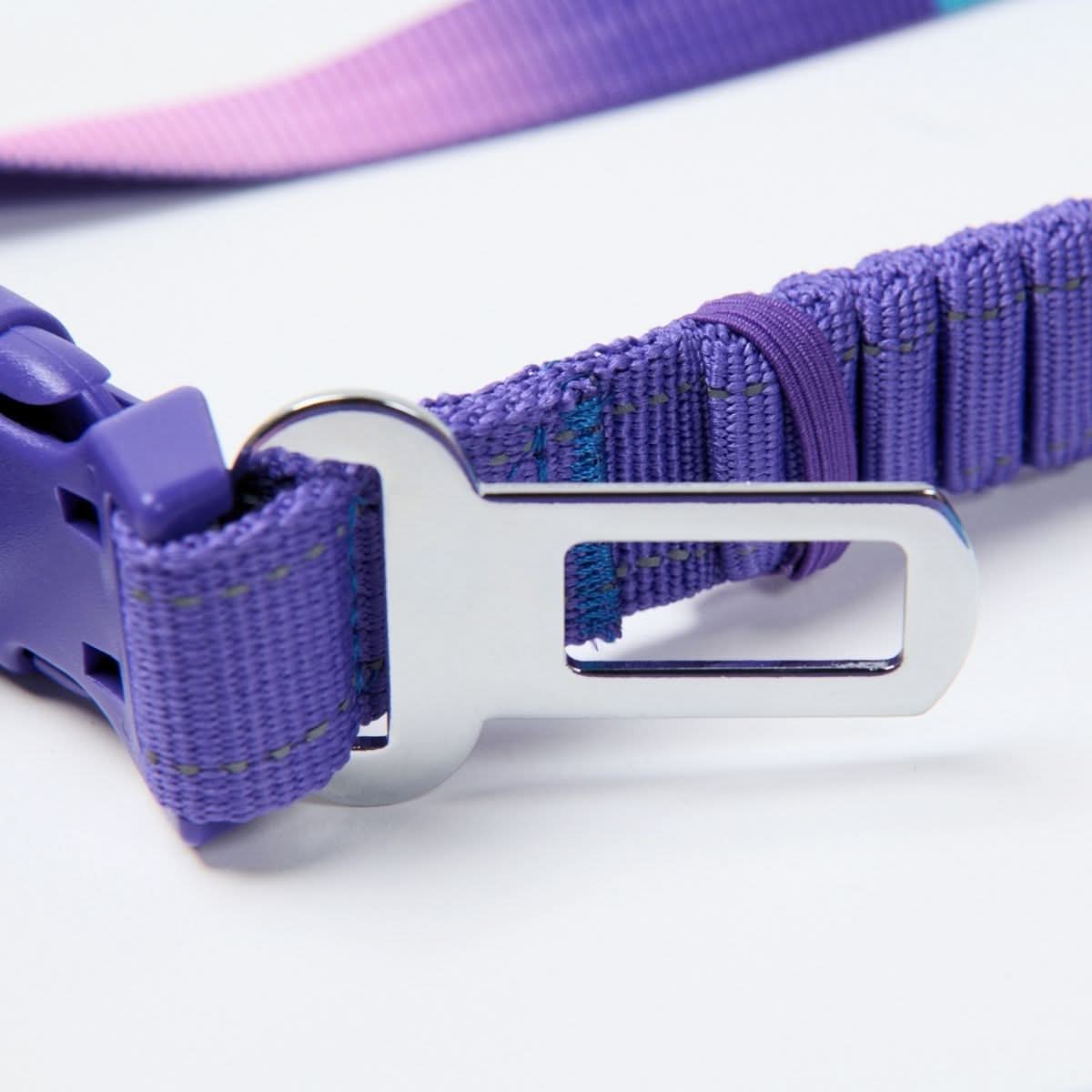 Multipurpose Seatbelt Handsfree Leash & Poop Bag Holder Set - 90s Retro