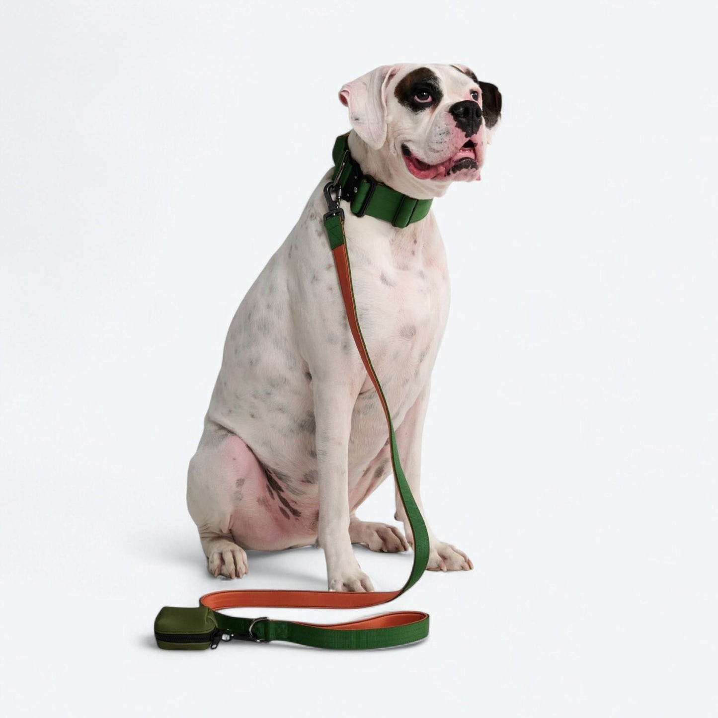 Leash and Poop Bag Holder Set - Green Orange