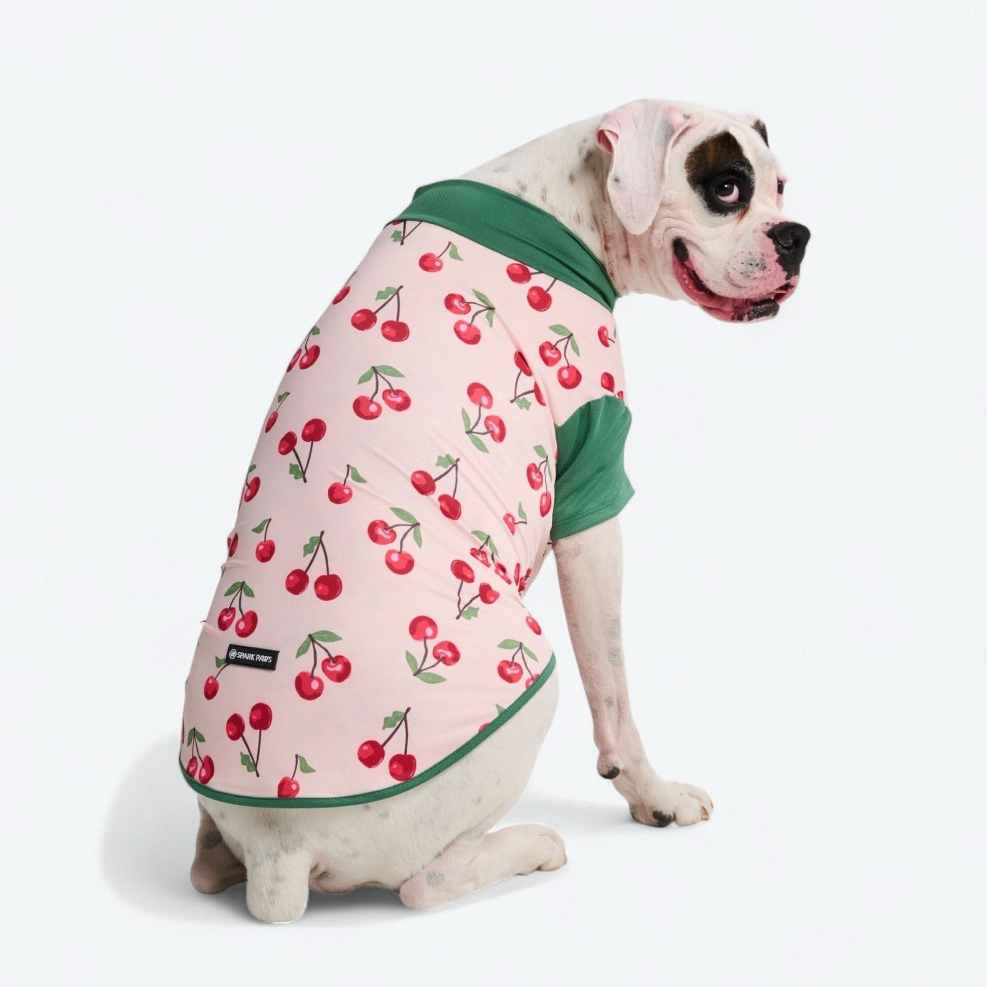 Sunblock Shirt - Cherries