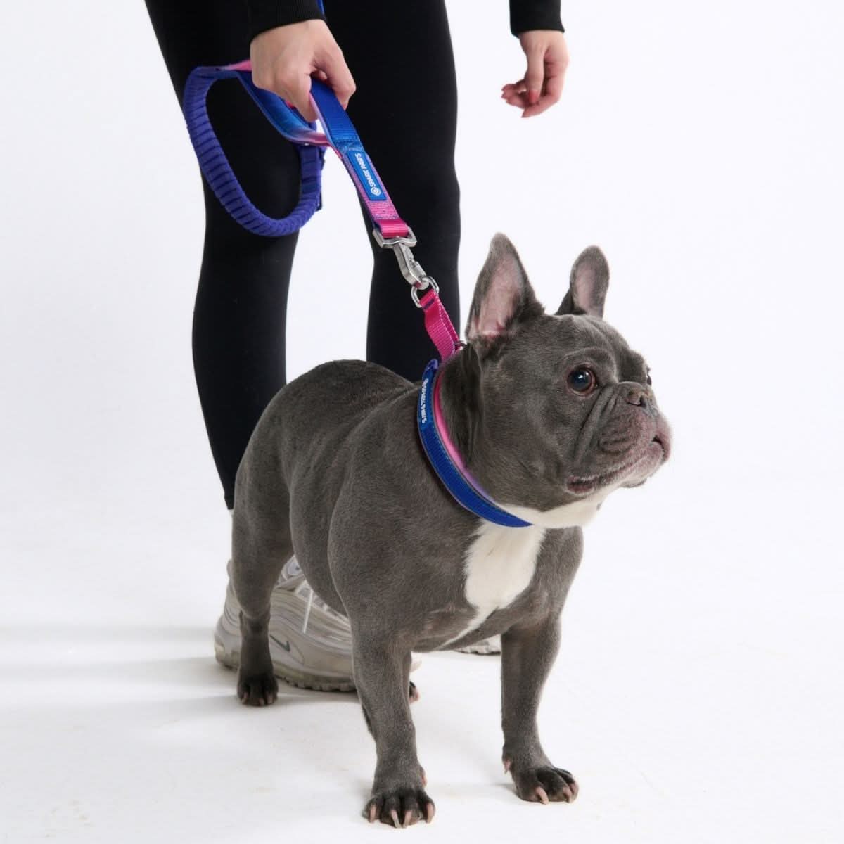 Snow Cone Martingale Collar||size:A,B