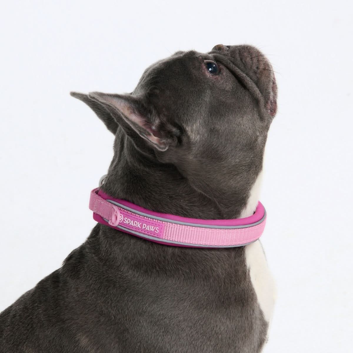 Pink Martingale Collar||size:A,B