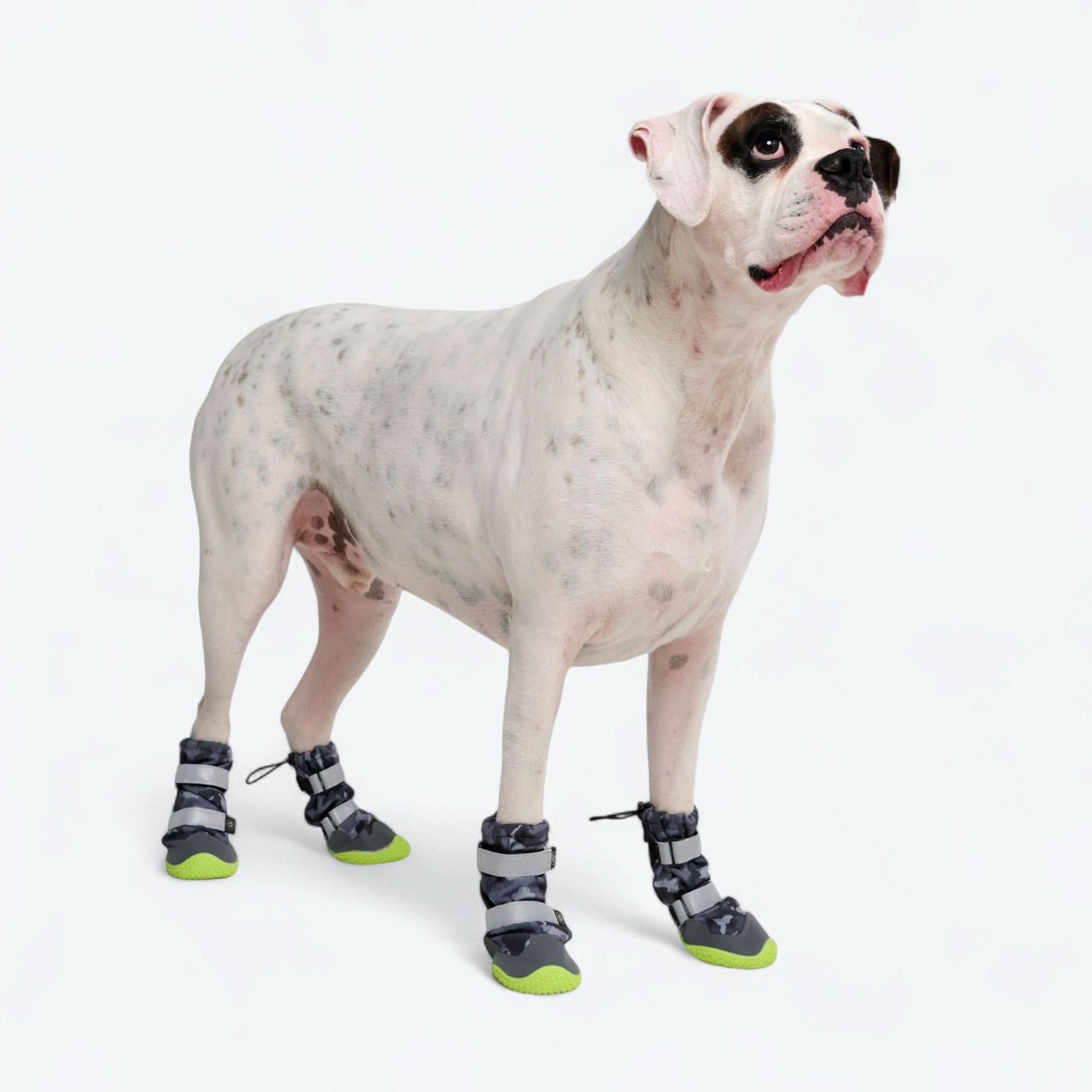 Dog Rainboots, Waterproof Dog Shoes - Grey Camo