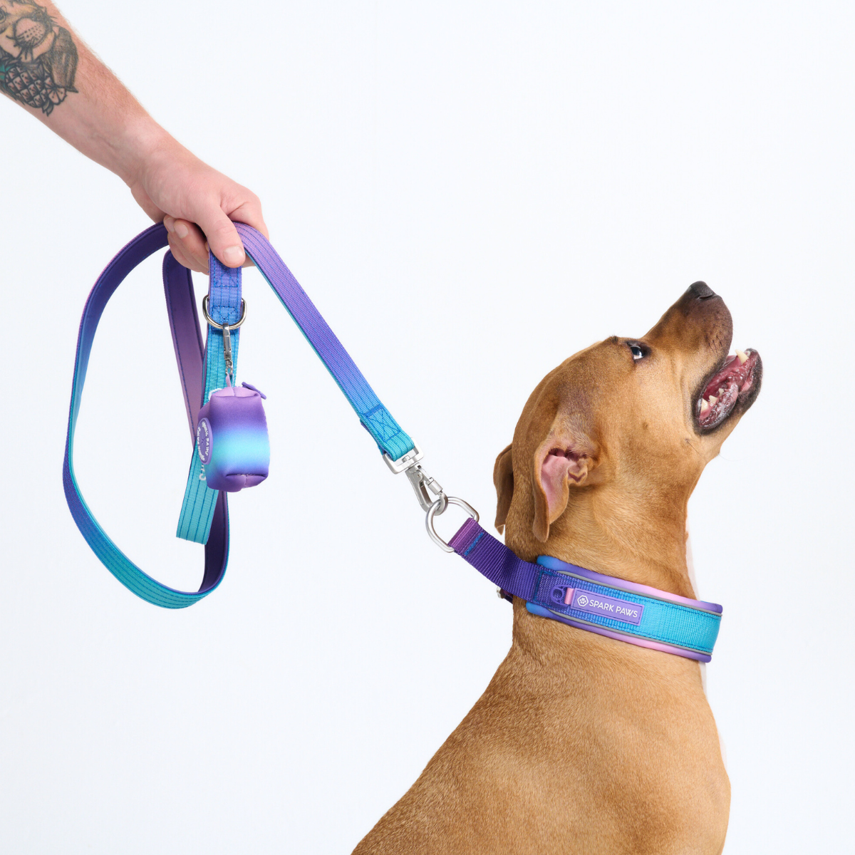90s Retro Martingale Collar||size:C,D,E