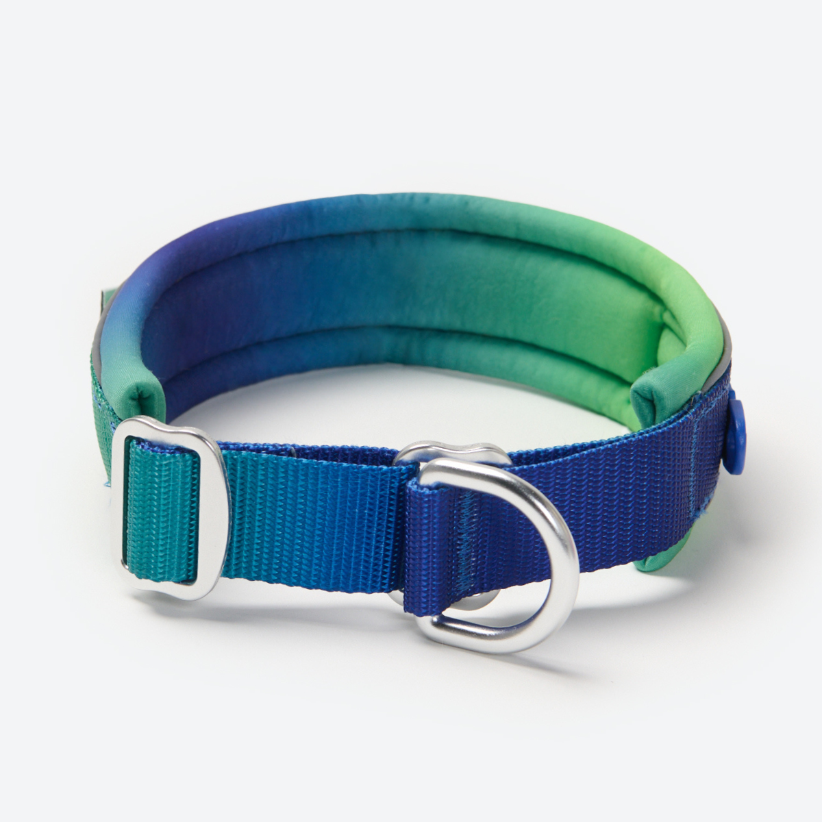 Lime Wave Martingale Collar||size:C,D,E