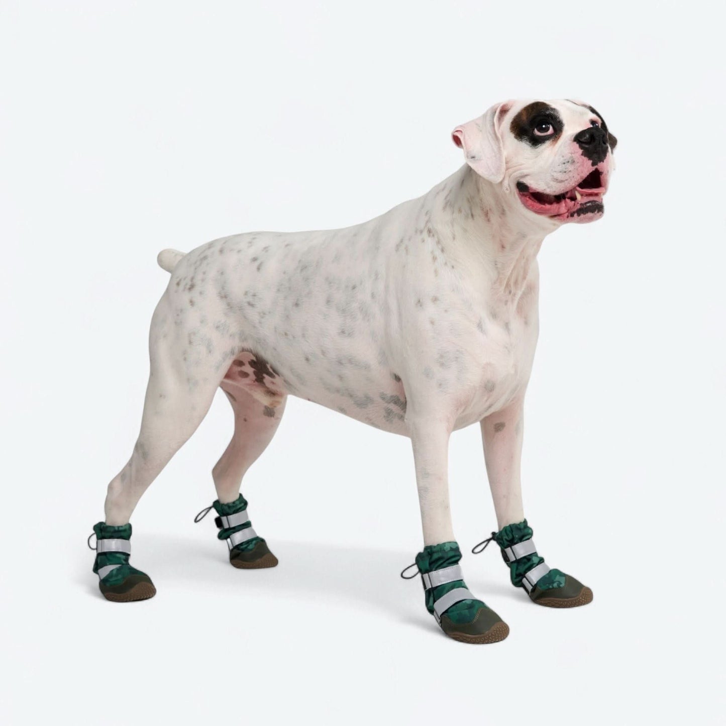 Dog Rainboots, Waterproof Dog Shoes - Green Camo