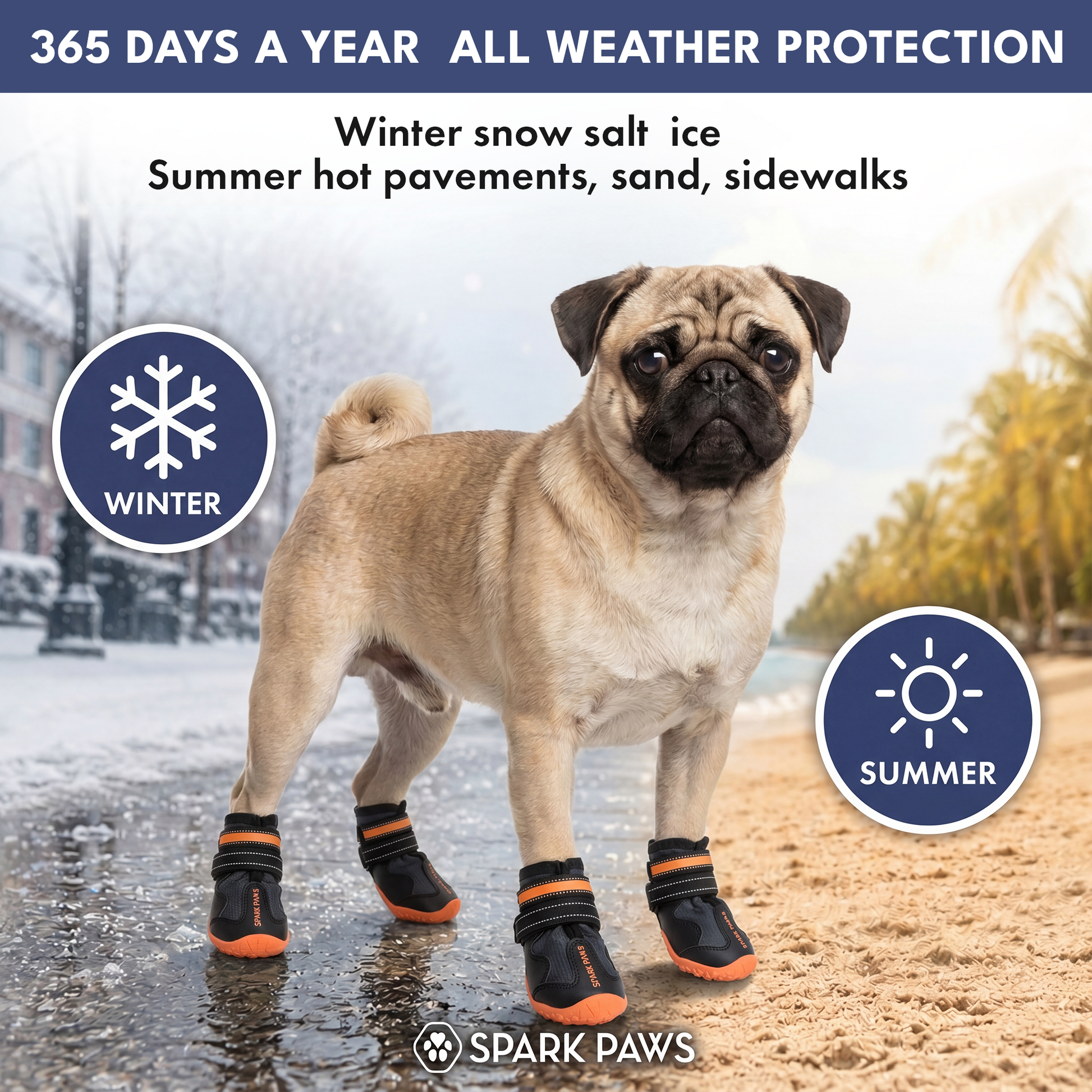 365 Black Orange