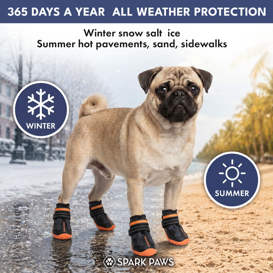 365 Black Orange