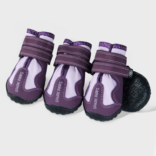365 Purple