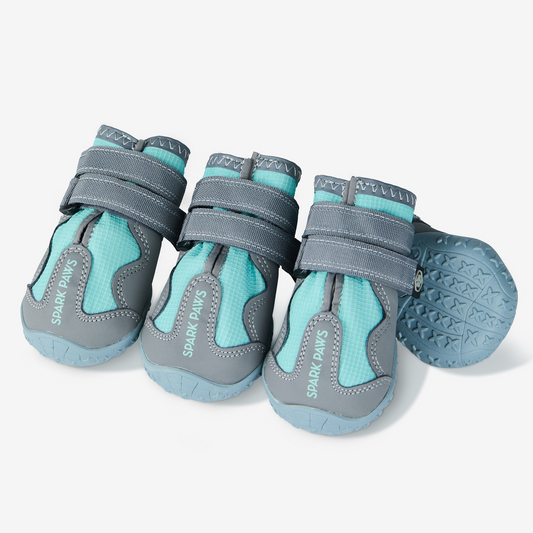 365 Teal