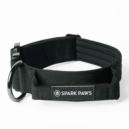 Comfort Control Collar - Black