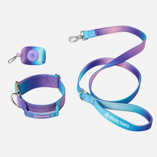 90s Retro Collar