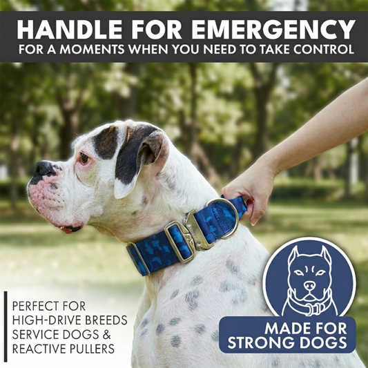 Blue Camo Collar