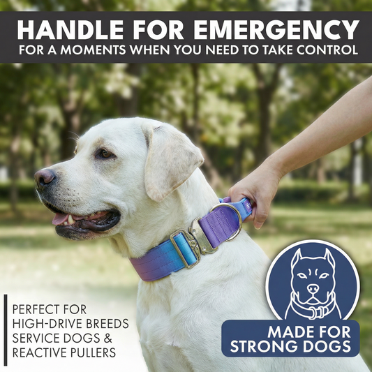 90s Retro Collar