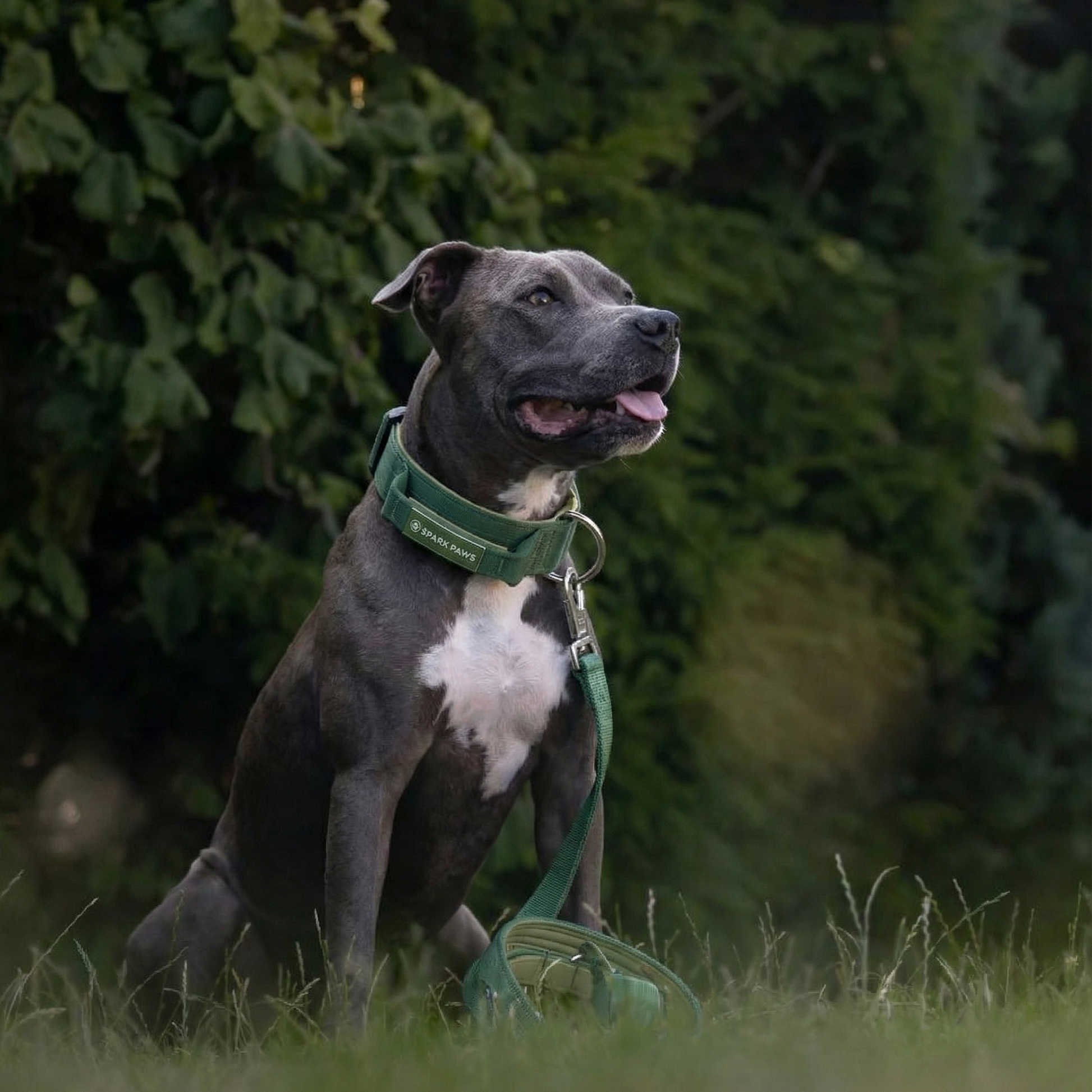 Green Collar