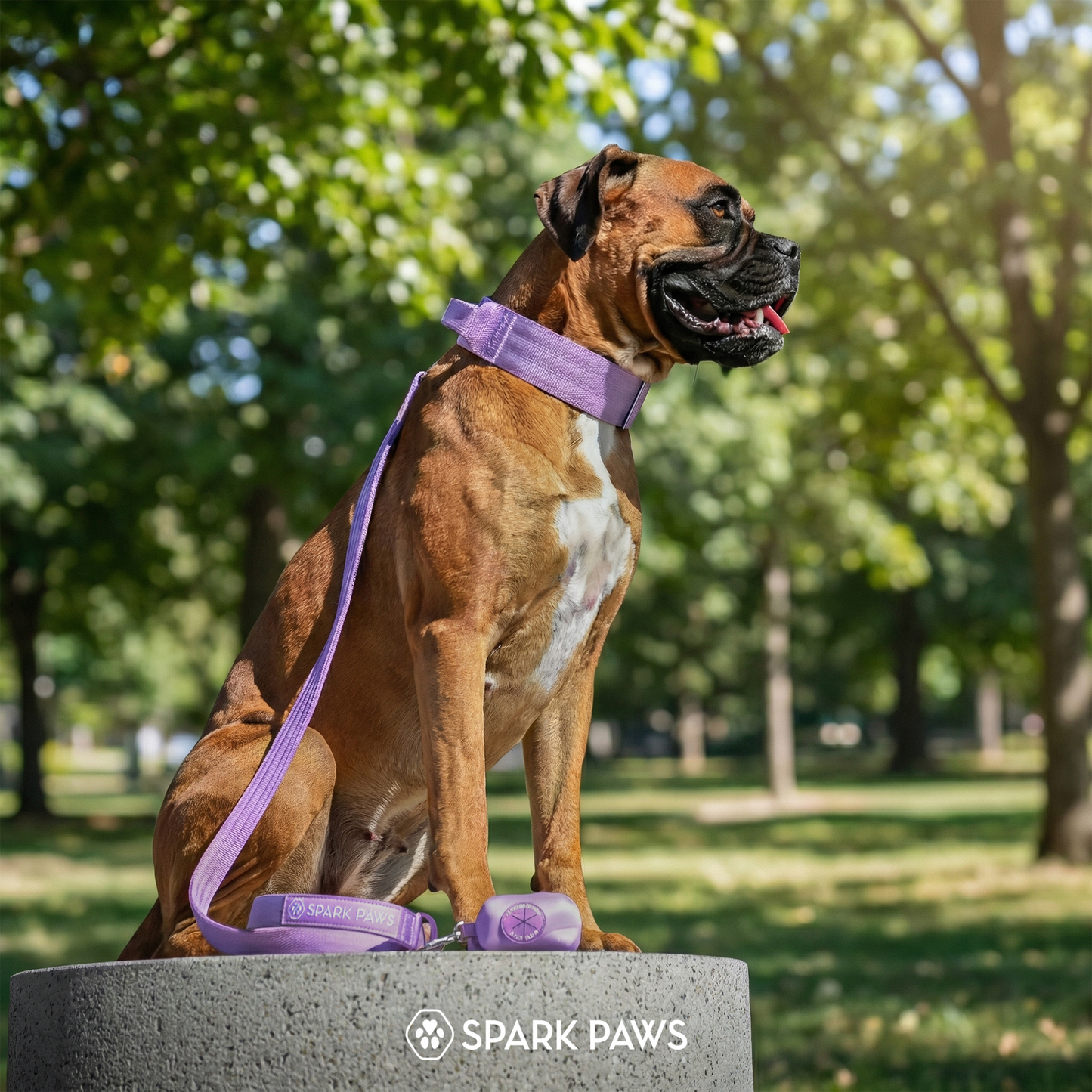 Lilac Collar
