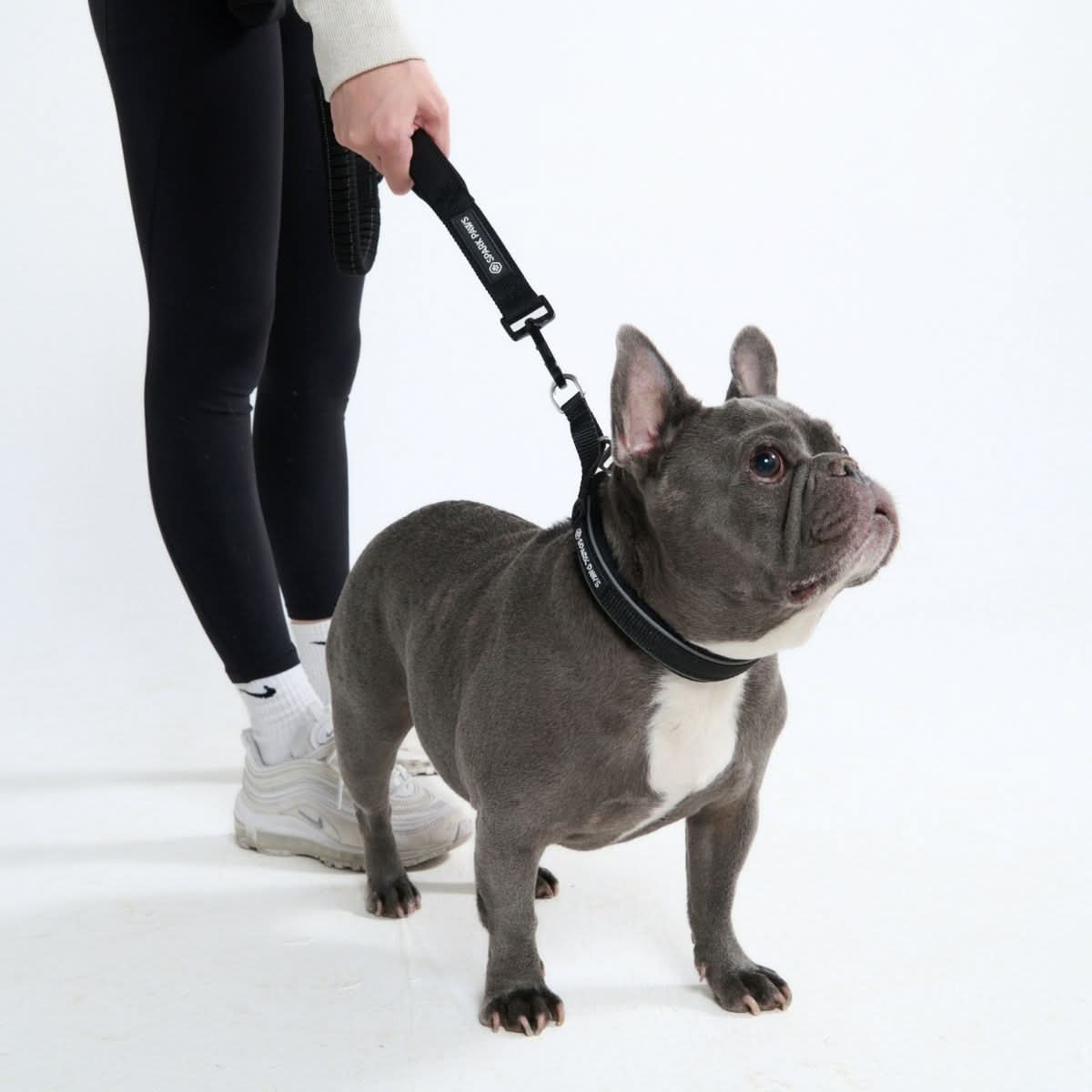 Black Martingale Collar||size:A,B