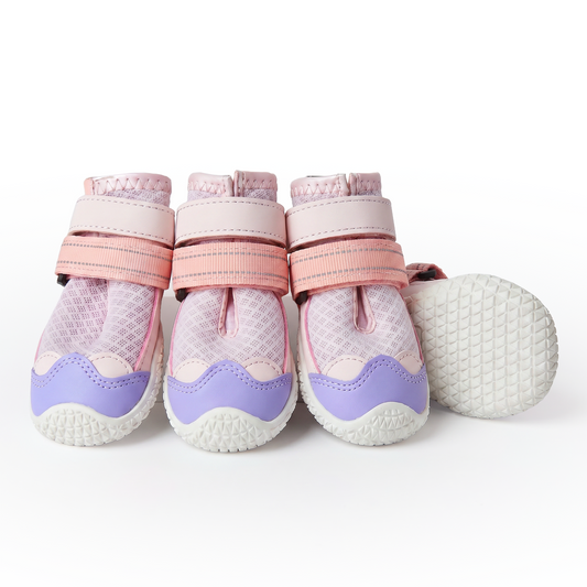 Pink Purple Shoes