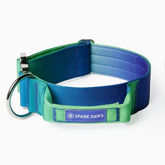 Comfort Control Collar - Lime Wave