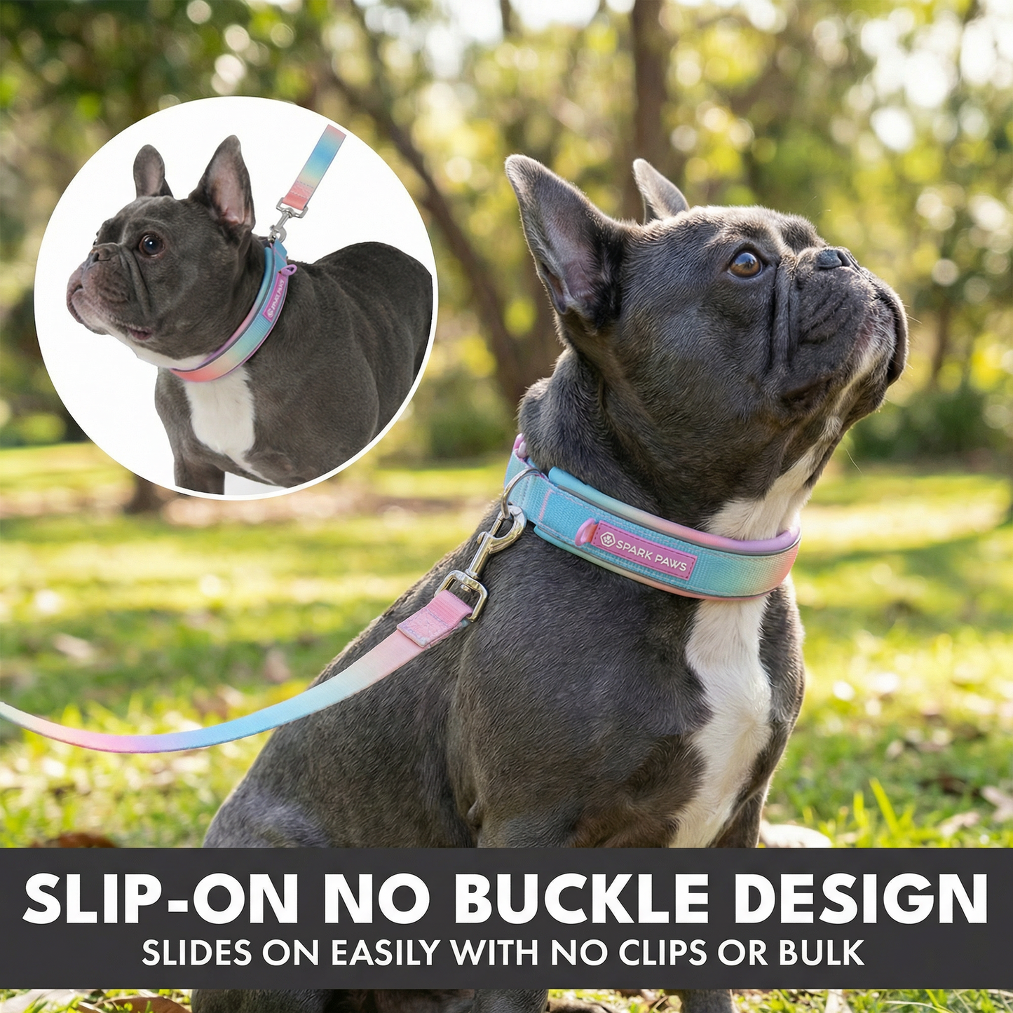 Pastel Icing Martingale Collar||size:A,B