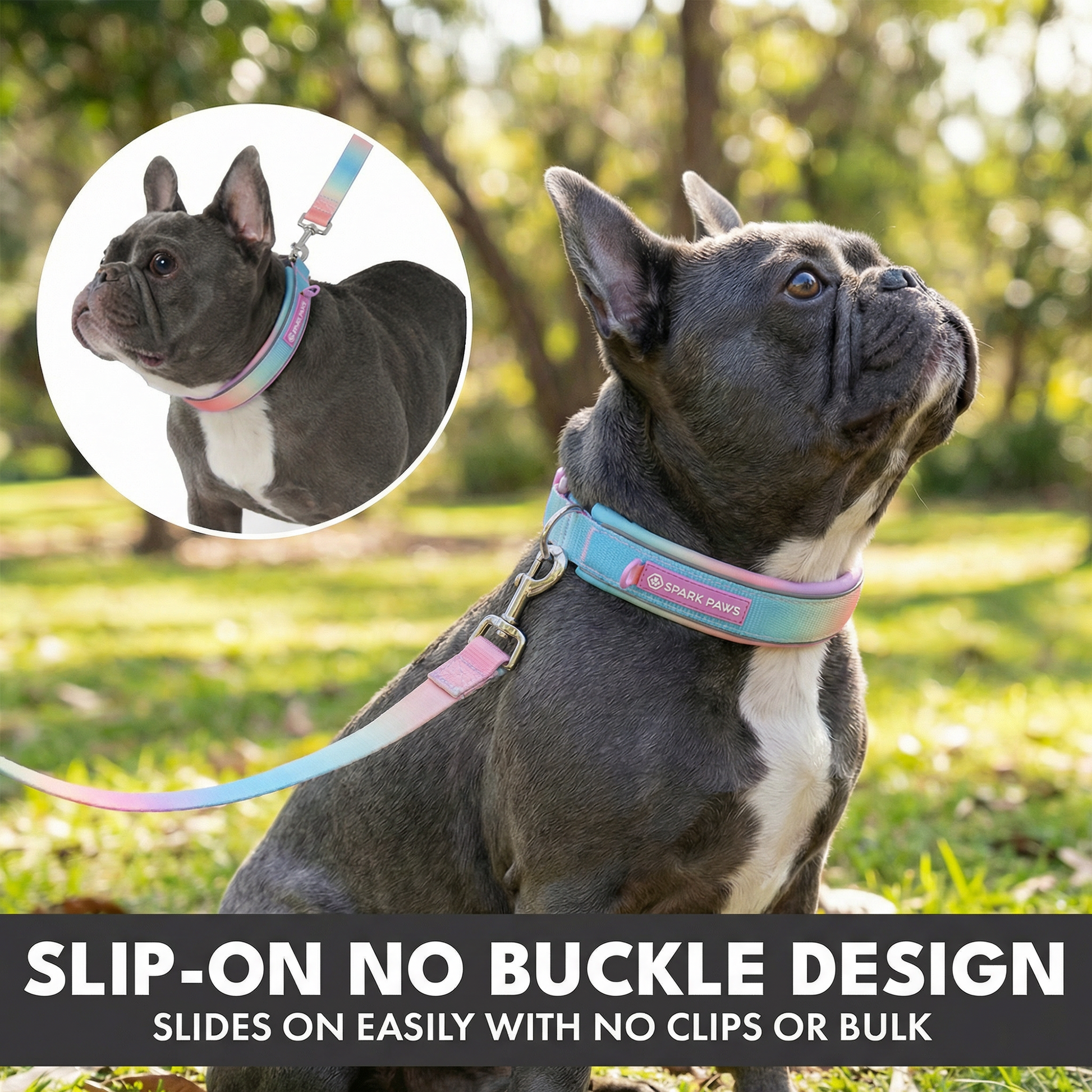 Pastel Icing Martingale Collar||size:A,B