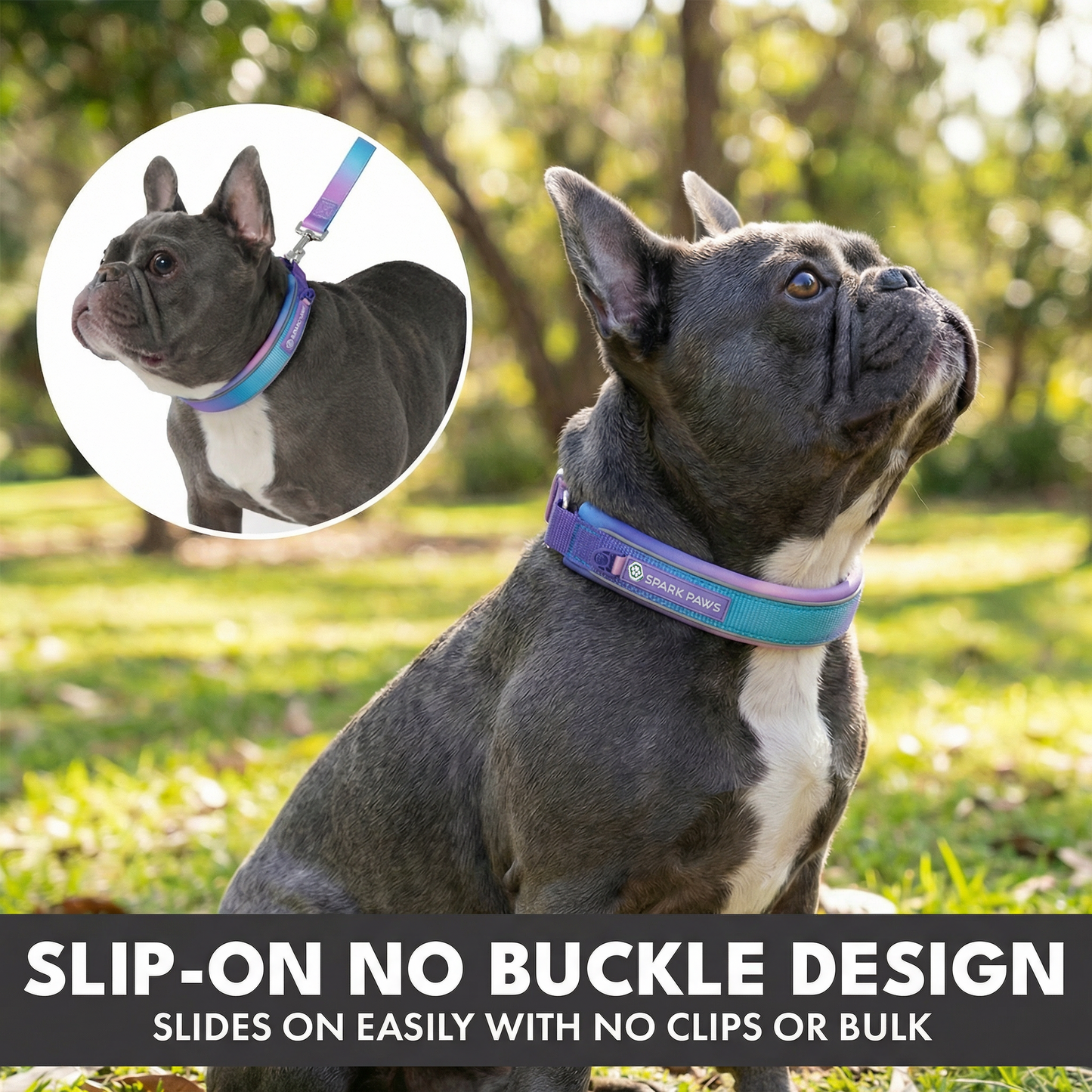 90s Retro Martingale Collar||size:A,B