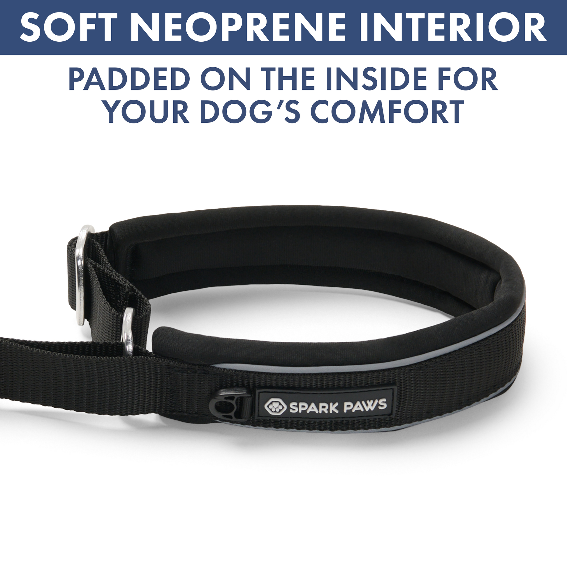 Black Martingale Collar||size:A,B,C,D,E