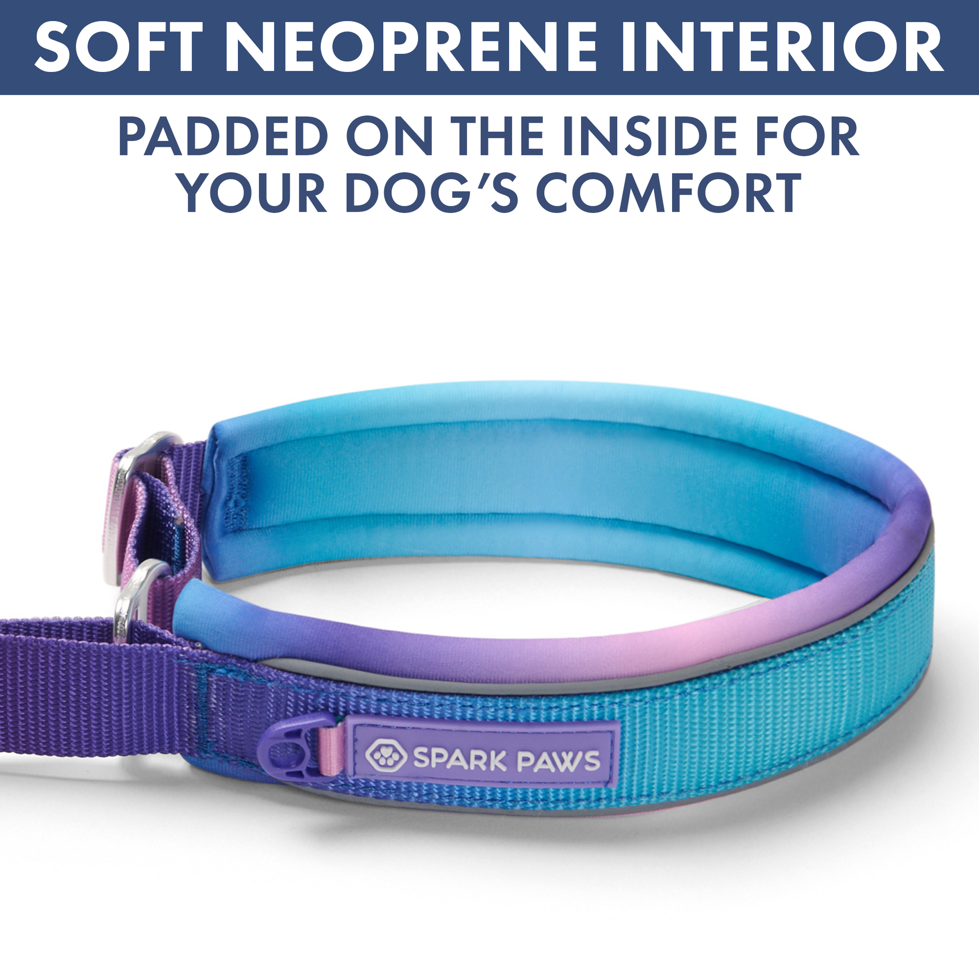 90s Retro Martingale Collar||size:A,B,C,D,E