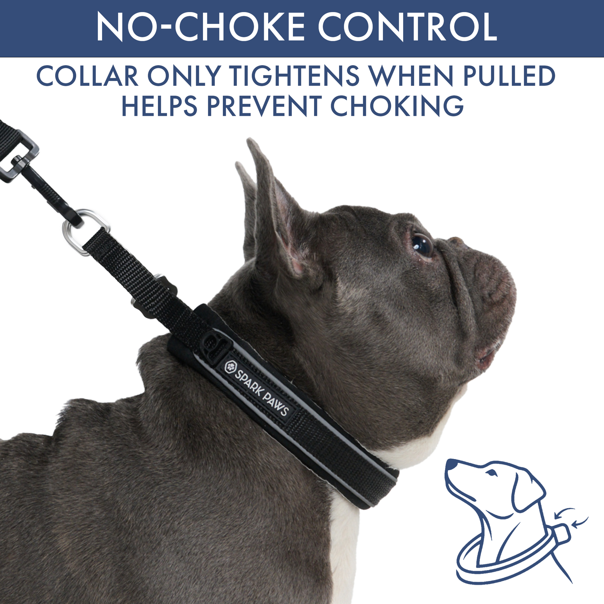 Black Martingale Collar||size:A,B