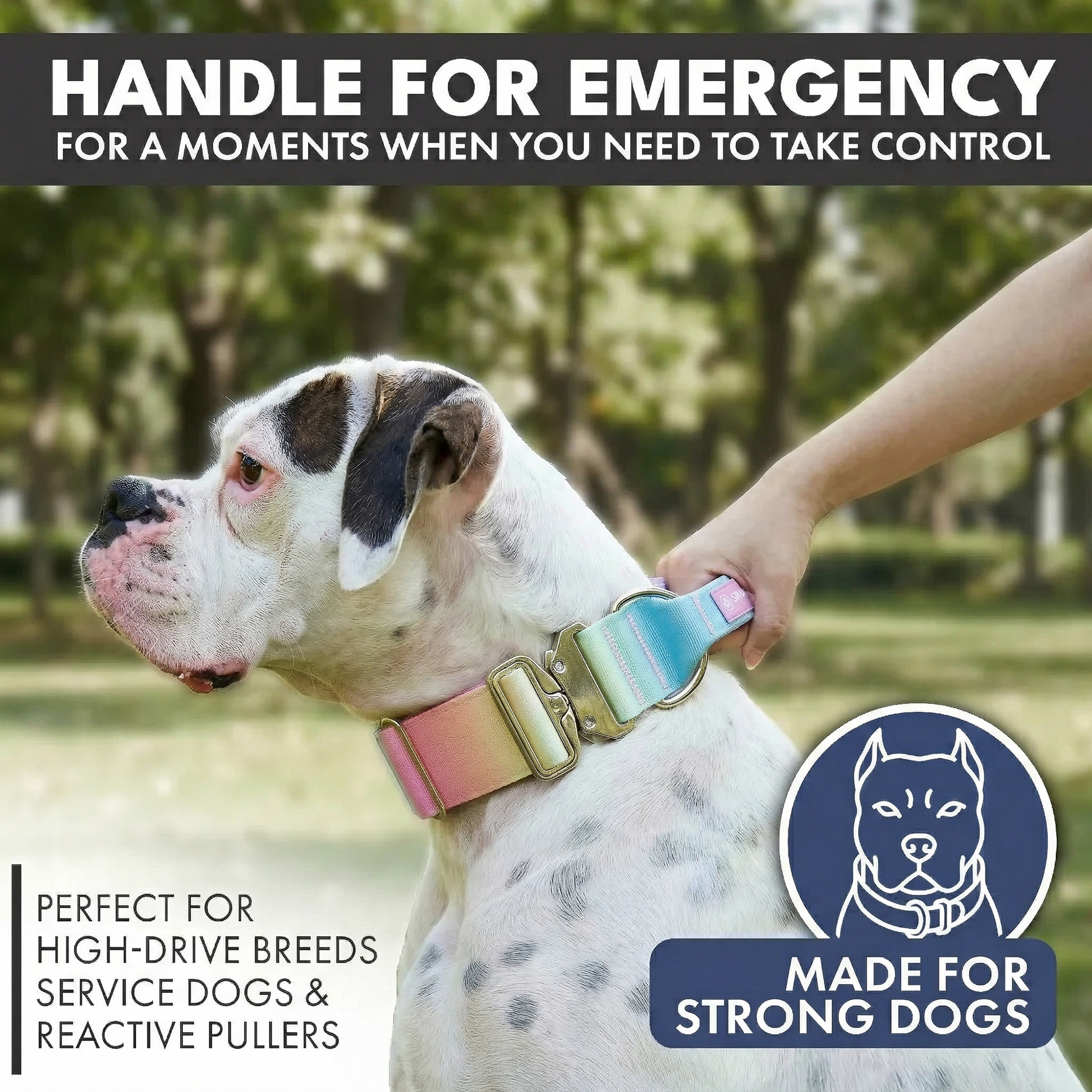 Comfort Control Collar - Pastel Icing