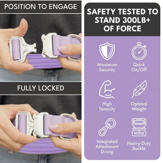 Comfort Control Collar - Lilac