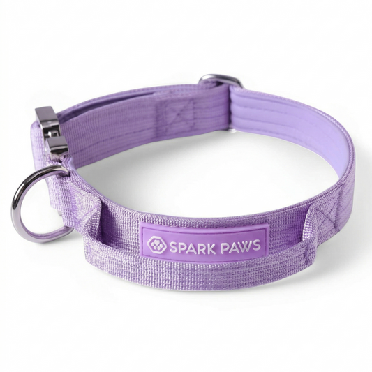 Comfort Control Collar - Lilac