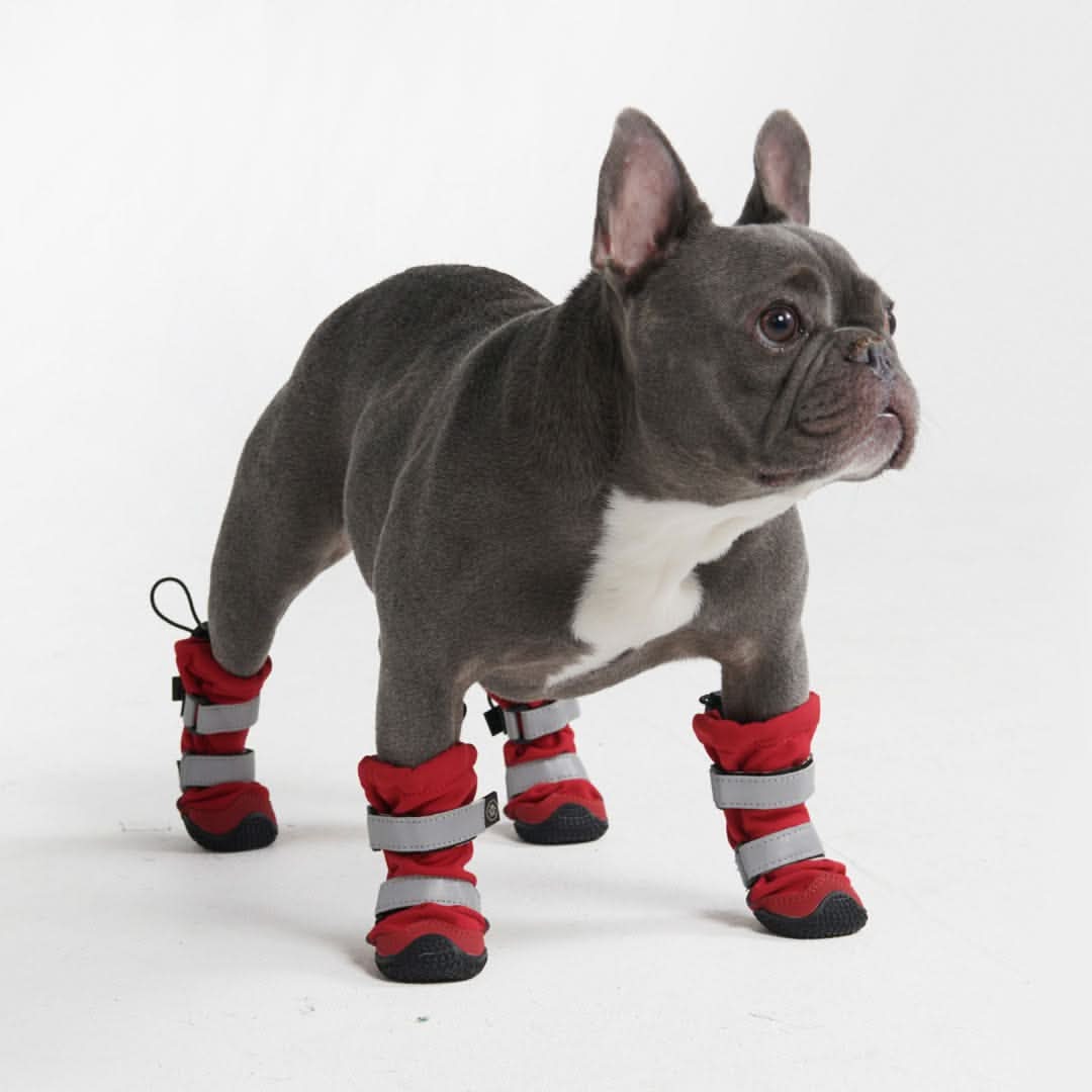 Flex Shell Waterproof Dog Boots - Red