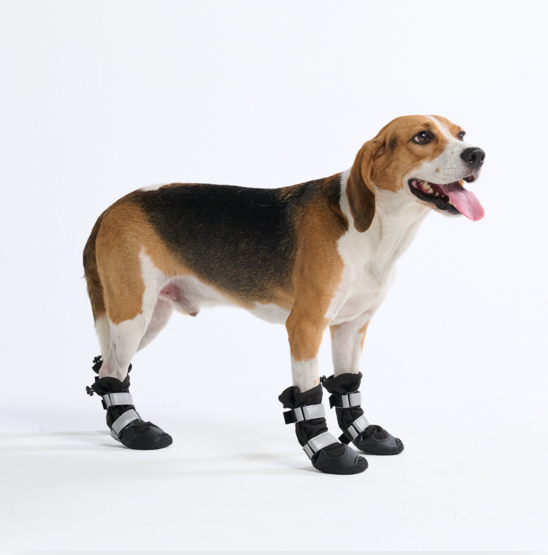 Dog Rainboots, Waterproof Dog Shoes - Black