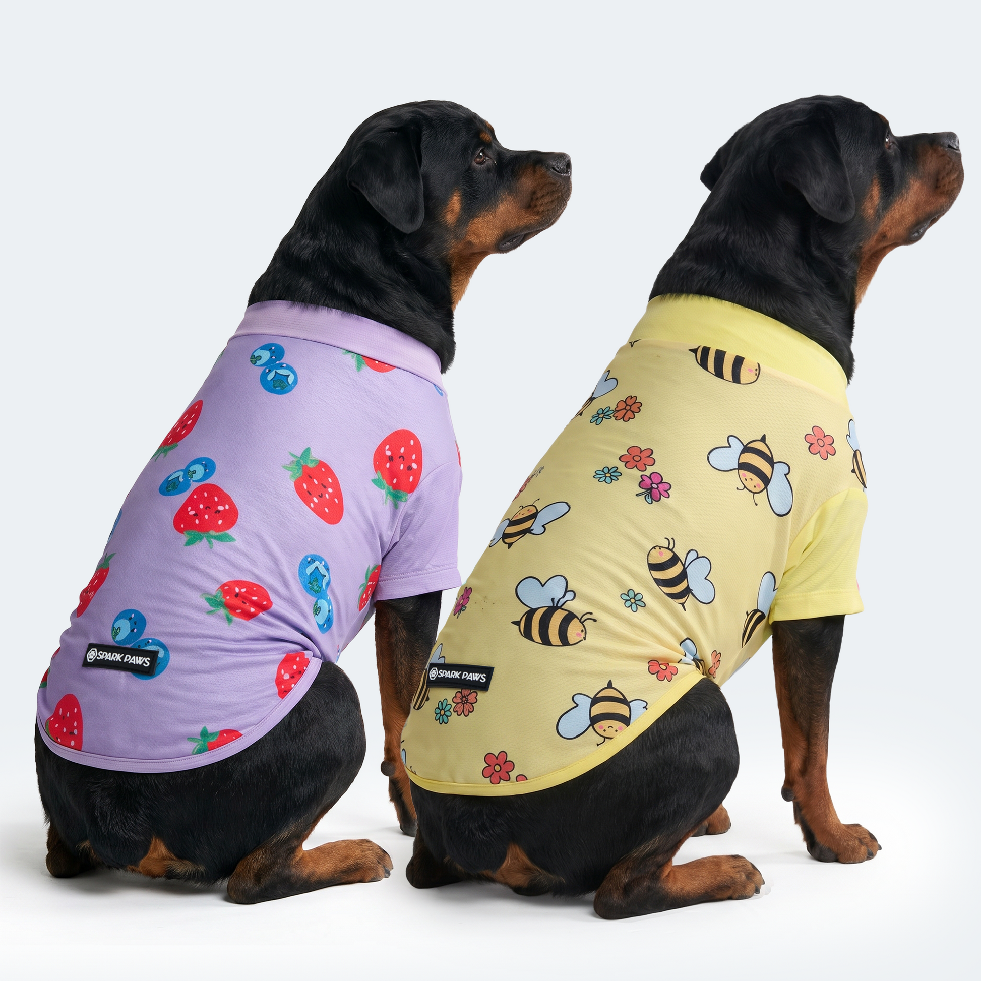 Bees Berries||size:4XL,5XL