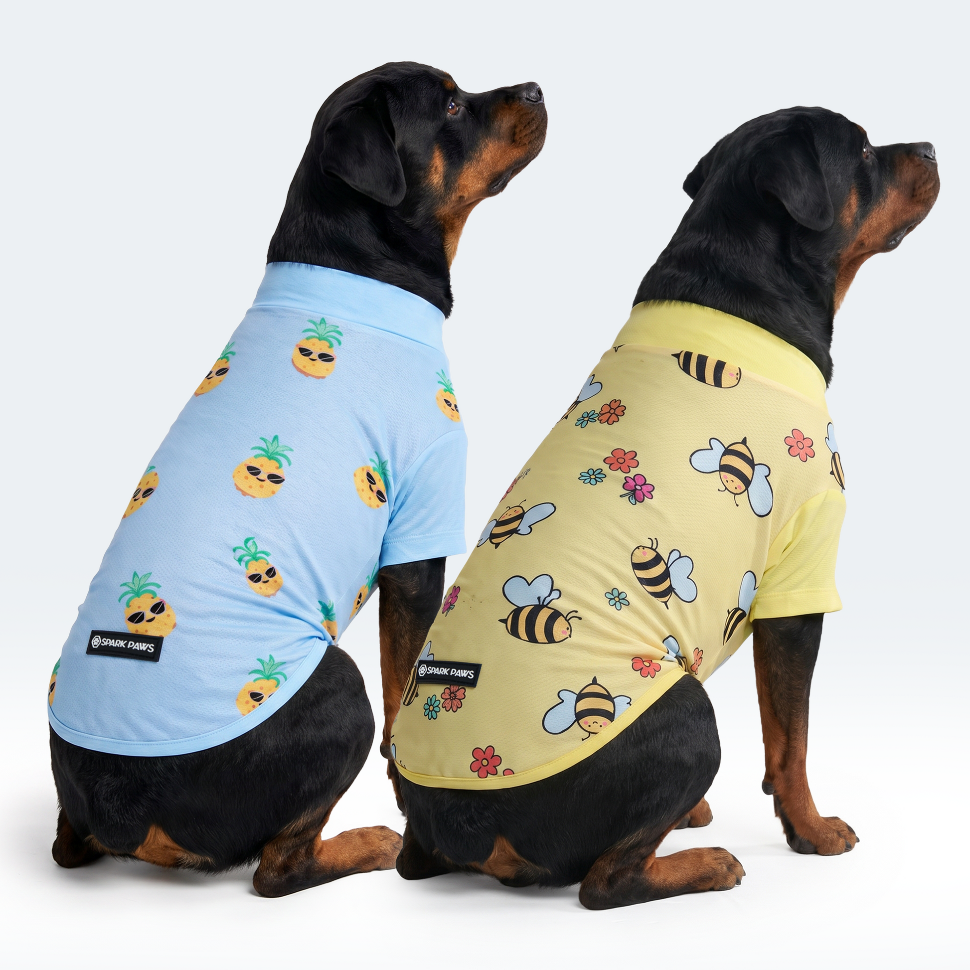 Bees Pineapple||size:4XL,5XL