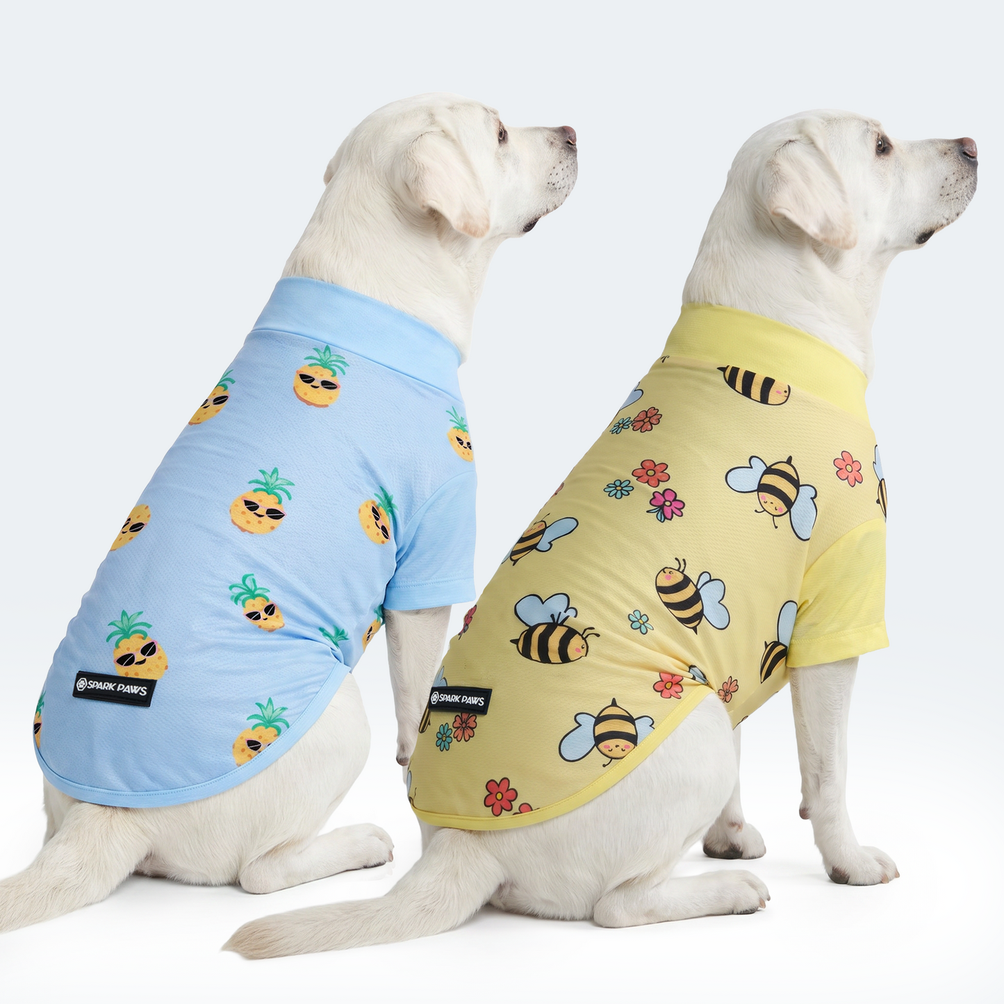Bees Pineapple||size:2XL,3XL