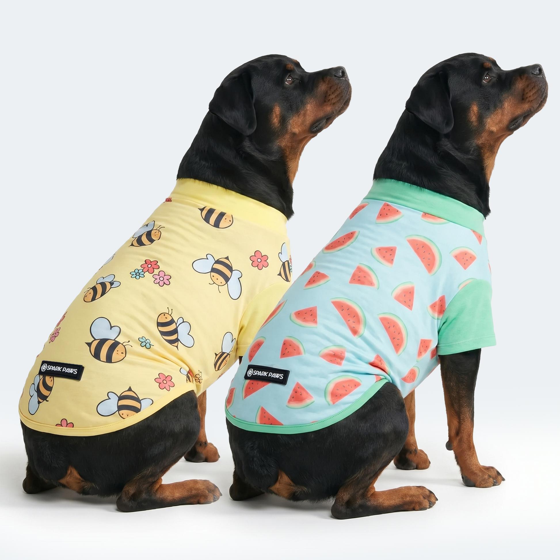 Bees Watermelon||size:4XL,5XL