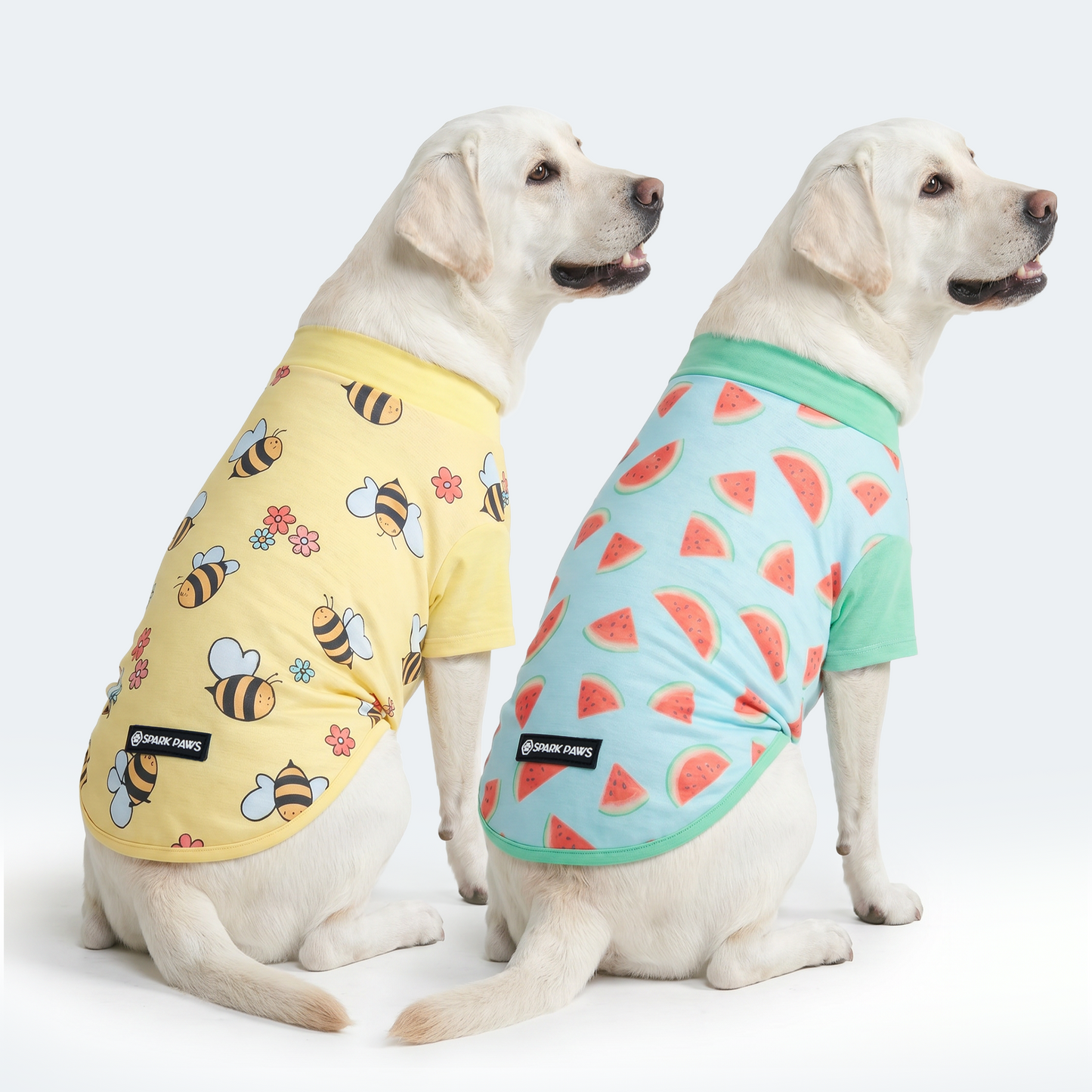 Bees Watermelon||size:2XL,3XL