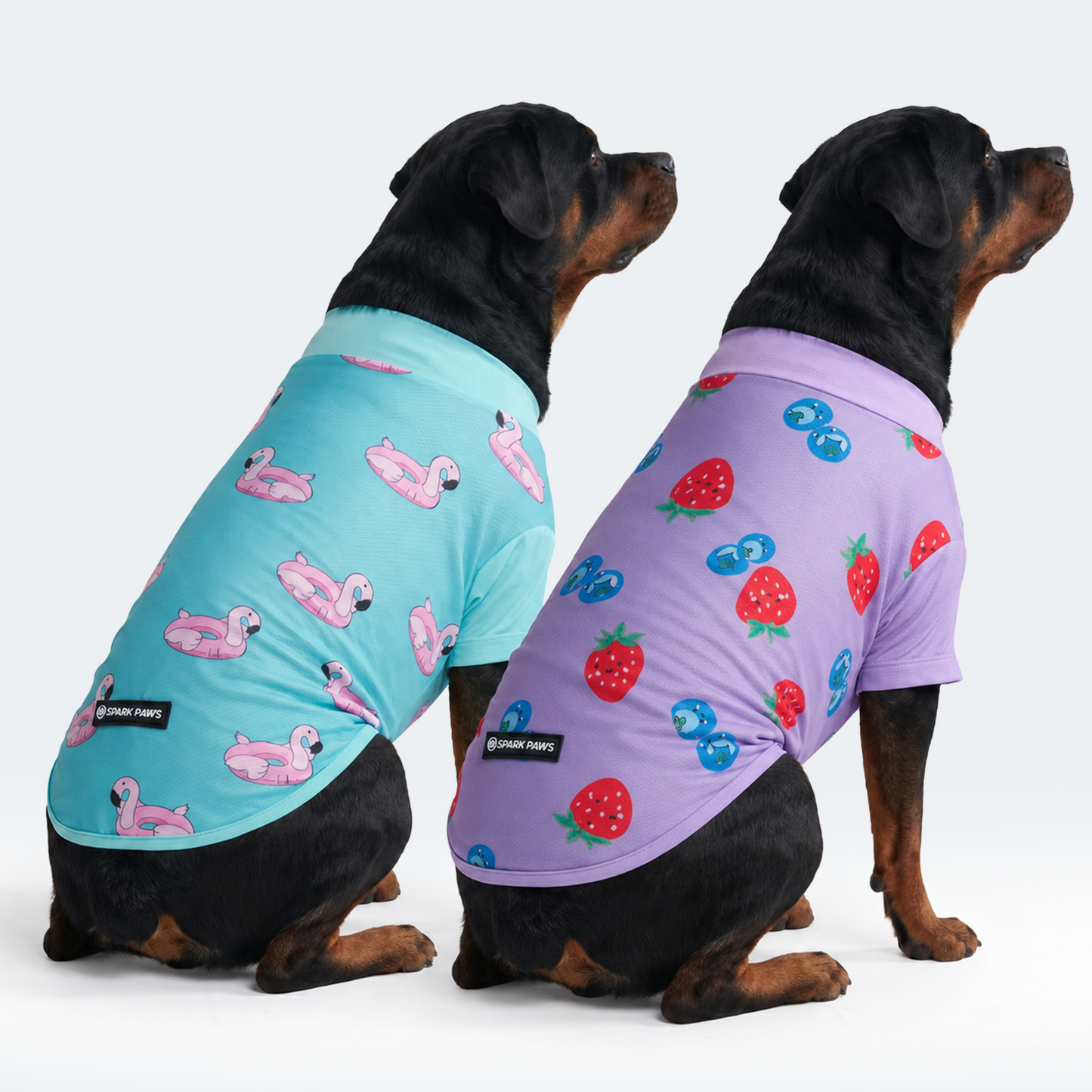Berries Flamingo||size:4XL,5XL