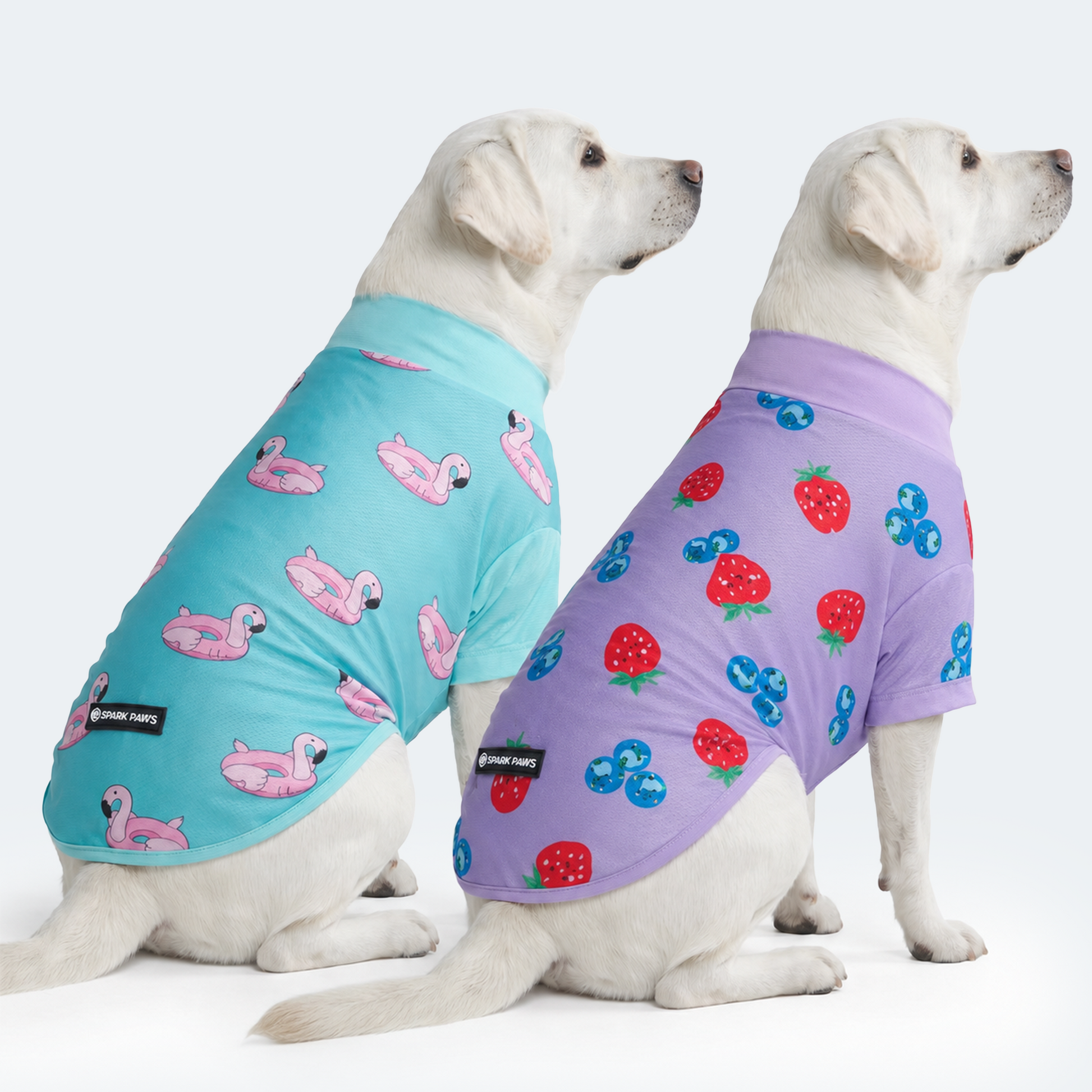 Berries Flamingo||size:2XL,3XL