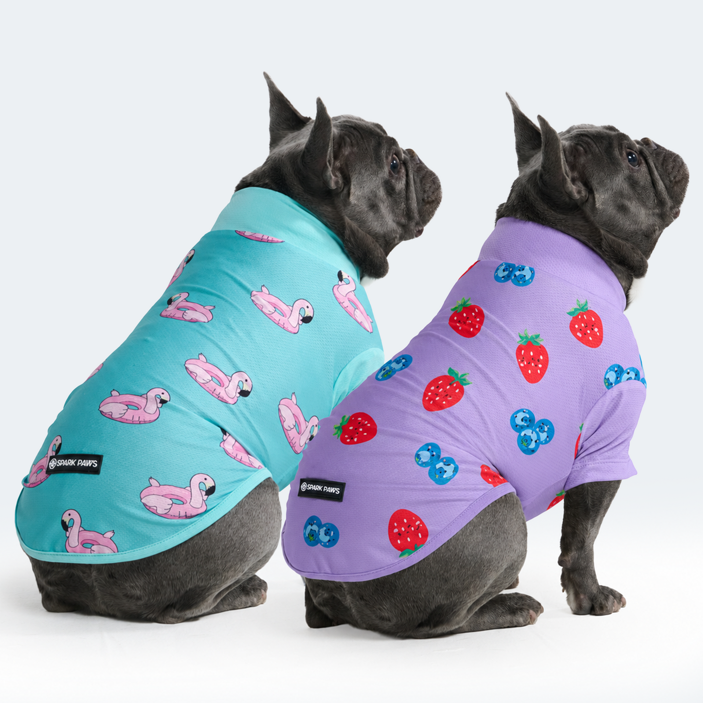 Berries Flamingo||size:L,XL