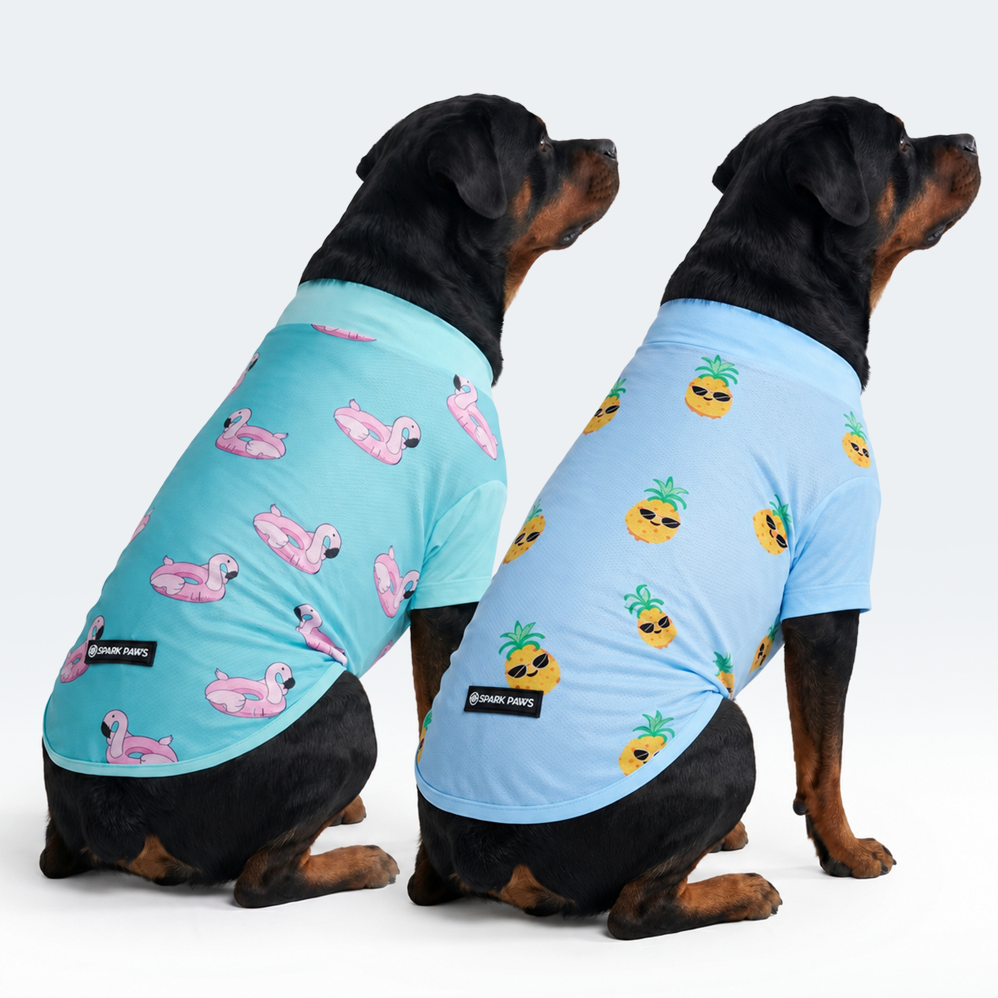 Flamingo Pineapple||size:4XL,5XL