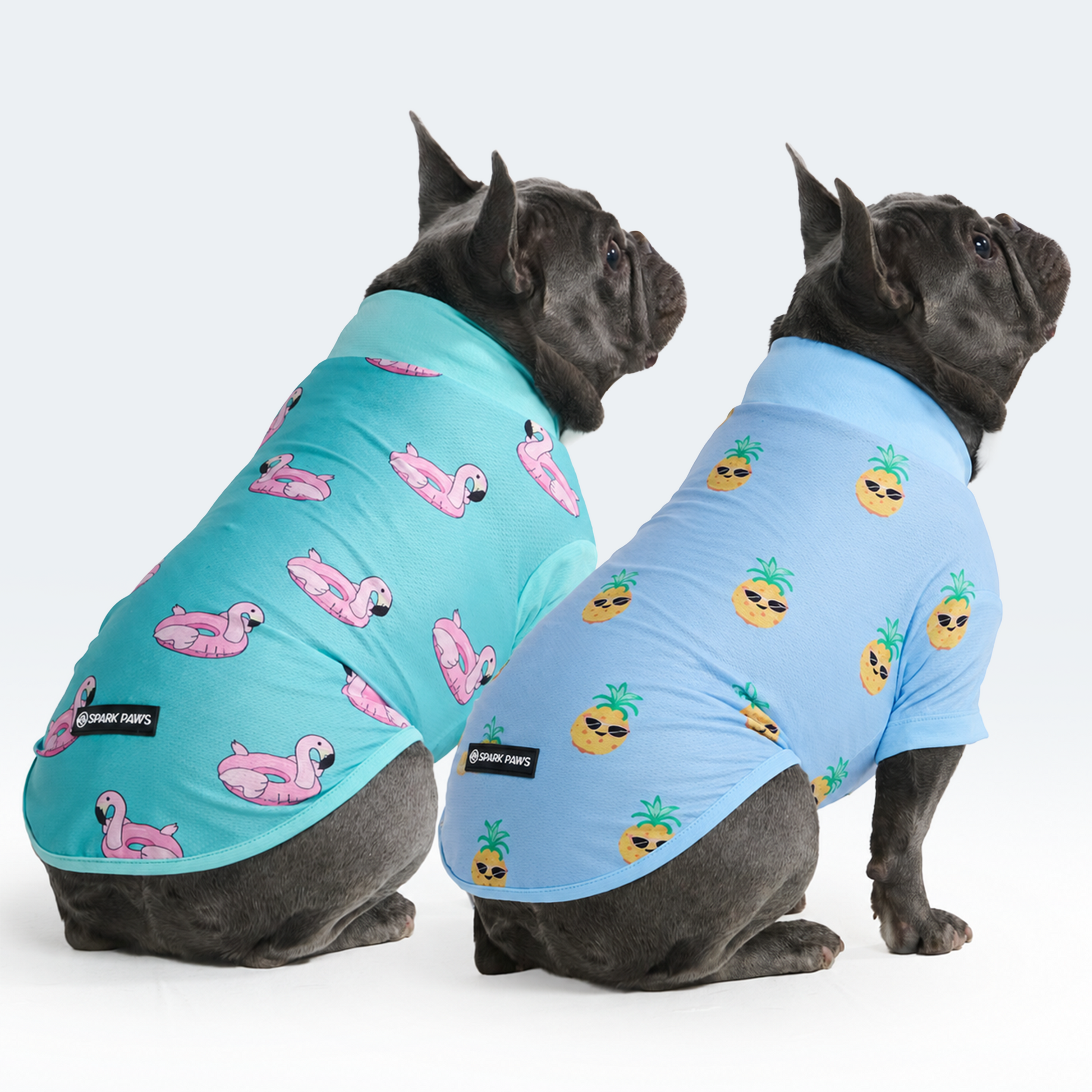 Flamingo Pineapple||size:L,XL