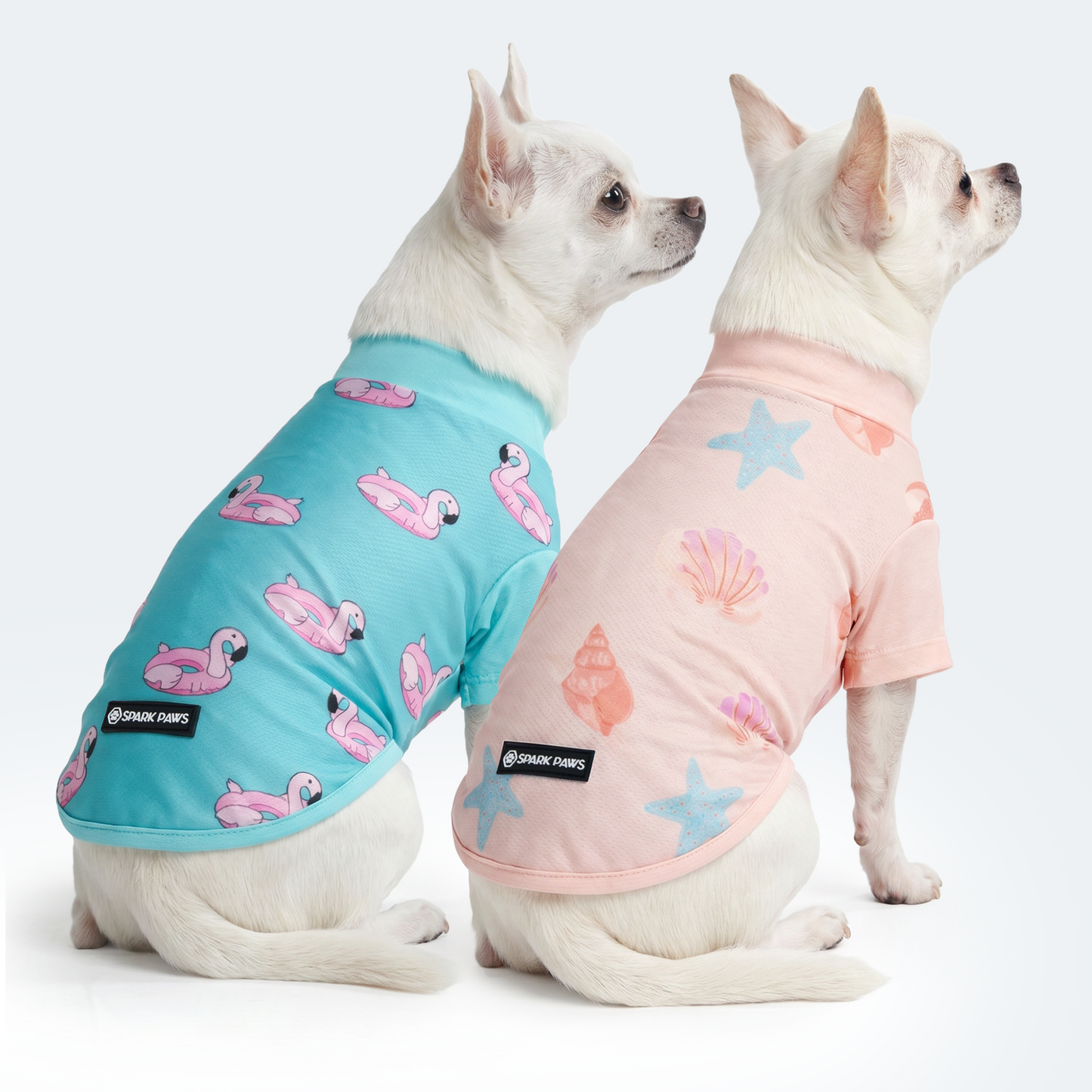 Flamingo Seashell||size:S,M