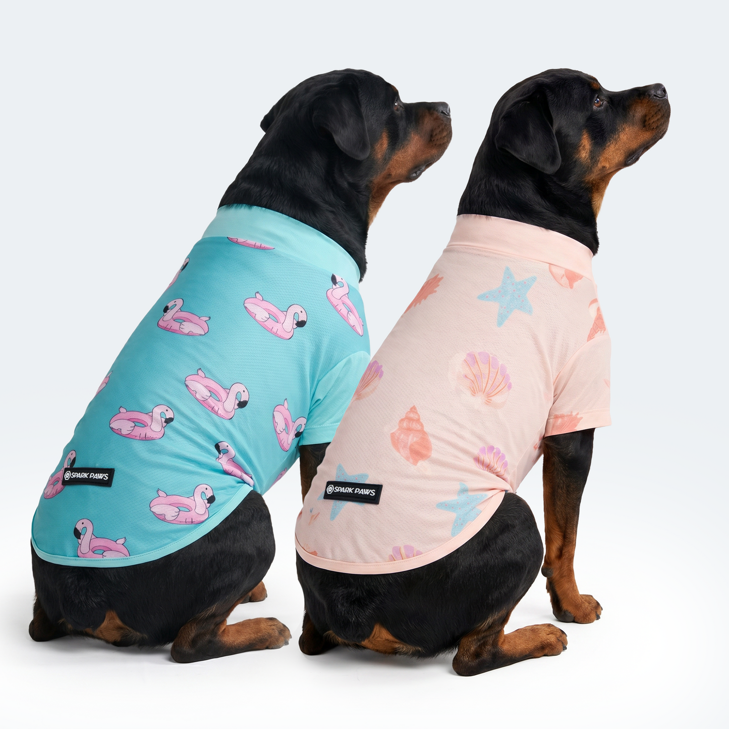 Flamingo Seashell||size:4XL,5XL