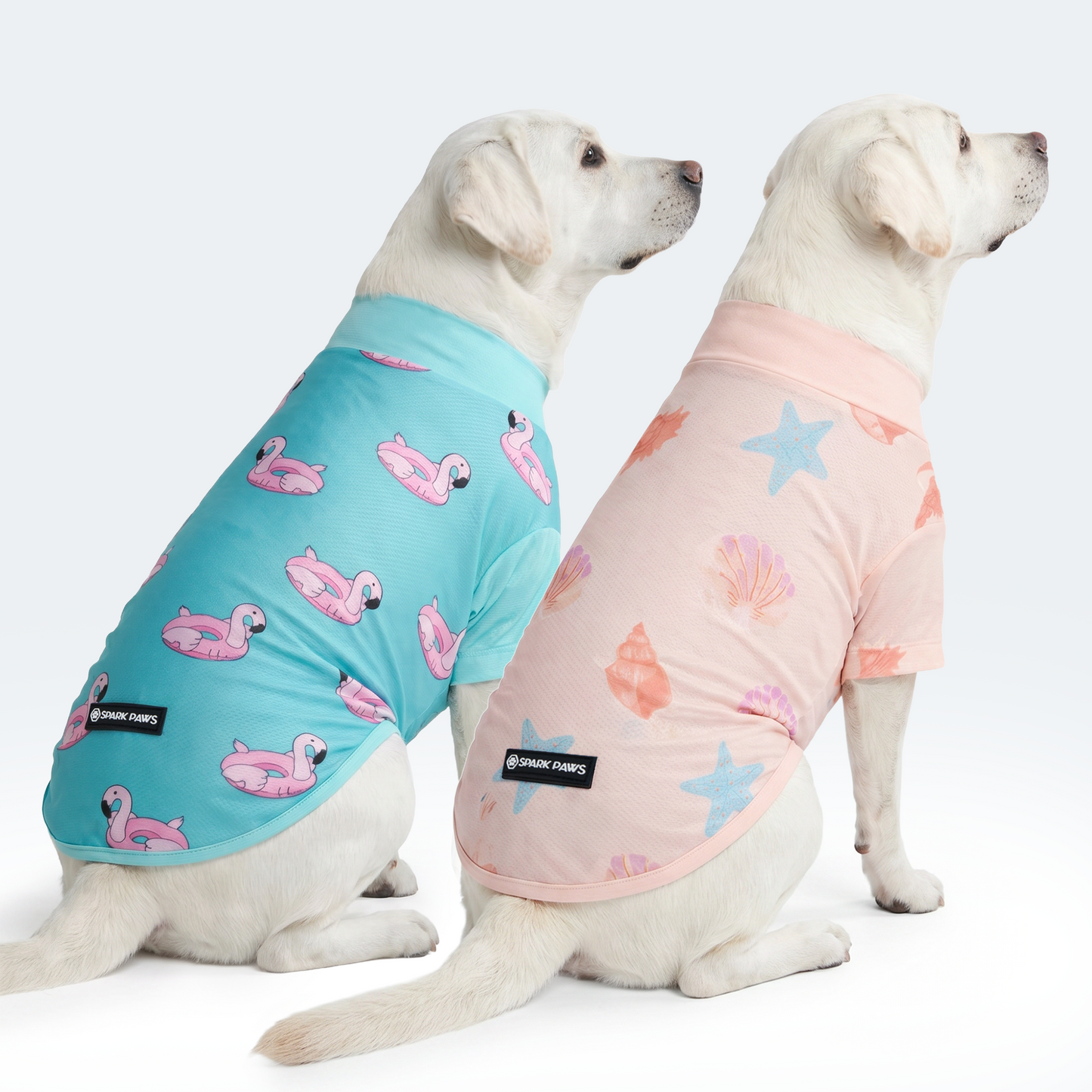 Flamingo Seashell||size:2XL,3XL