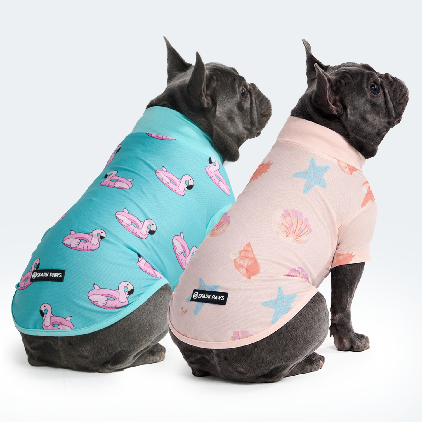 Flamingo Seashell||size:L,XL
