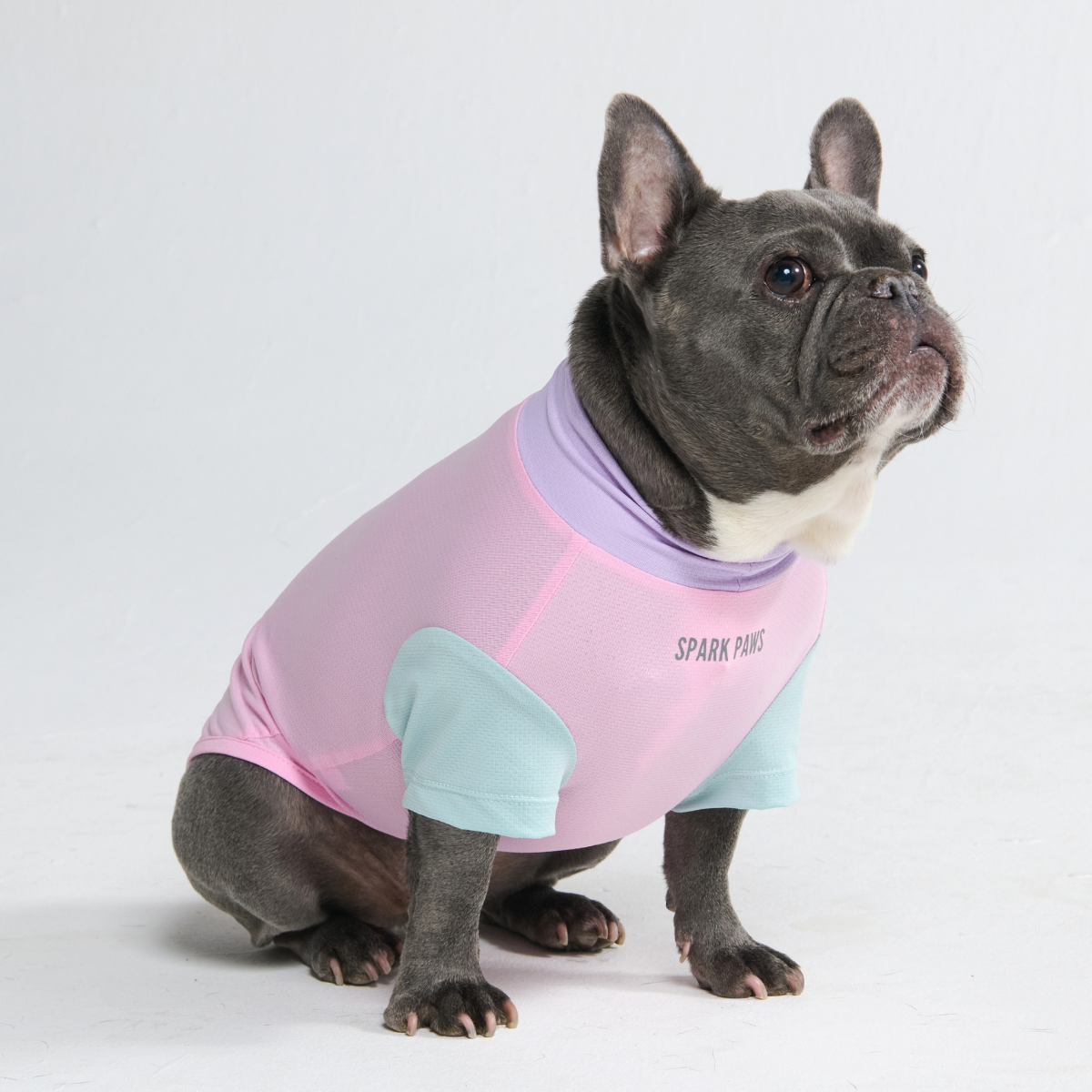 Gelato Shirt||size:S,M,L,XL,2XL,3XL,4XL,5XL